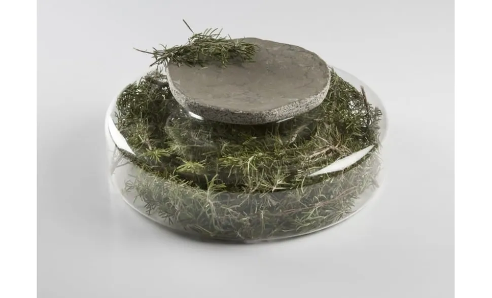 Advance Scene, serveringstallrik i borosilikatglas - 100% Chef