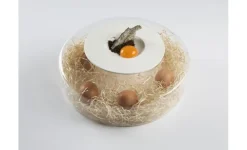 Advance Scene, serveringstallrik i borosilikatglas - 100% Chef