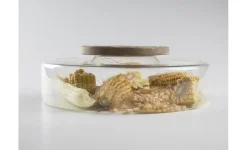 Advance Scene, serveringstallrik i borosilikatglas - 100% Chef