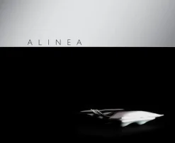 Alinea - Grant Achatz