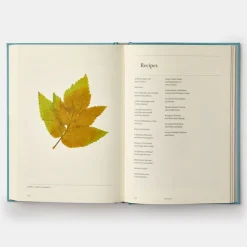 A Work in Progress: A Journal - Rene Redzepi