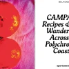 Campania: Recipes and wandering