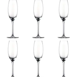 Champagneflöjt 22 cl, Thomas DiVino, 6-pack - Rosenthal