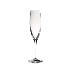 Champagneglas 17 cl, Penelopé - Stölzle