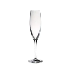 Champagneglas 17 cl, Penelopé - Stölzle