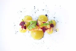 Citronsyra (E330) - The Kitchen Lab