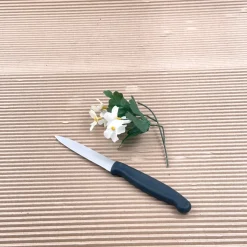 Den där klassiska lilla skalkniven med svart plasthandtag - The Kitchen Lab
