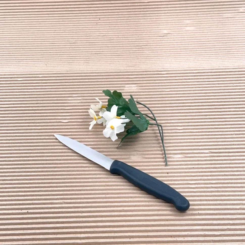 Den där klassiska lilla skalkniven med svart plasthandtag - The Kitchen Lab