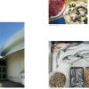 Easy Pasta - Osteria 16