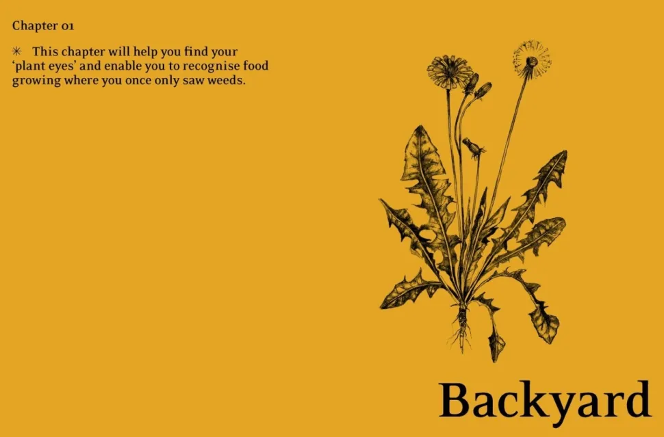 Eat Weeds - Diego Bonetto