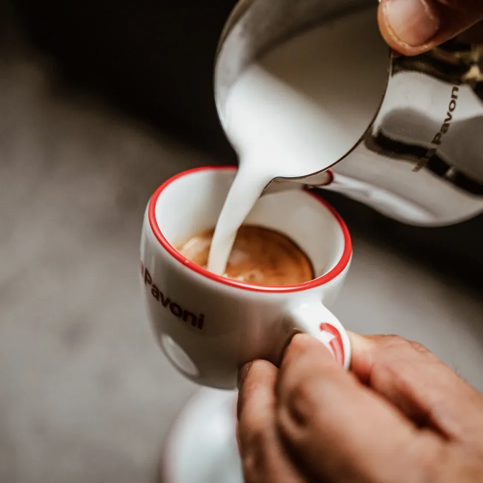 Espressokoppar med fat, 6-pack - La Pavoni