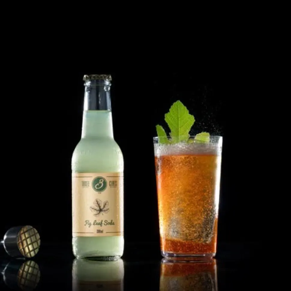 Fig Leaf Soda - Three Cents