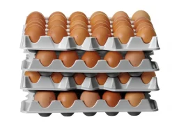 Äggflak i plast, 4-pack - Hendi
