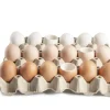 Ägg i porslin för servering, vita, 10-pack - 100% Chef