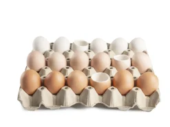 Ägg i porslin för servering, vita, 10-pack - 100% Chef