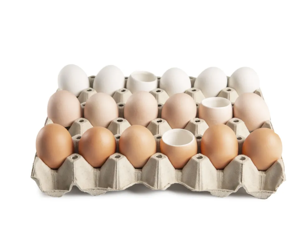 Ägg i porslin för servering, vita, 10-pack - 100% Chef