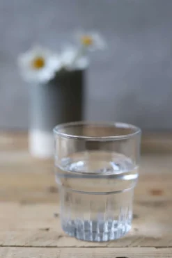 Glas 20 cl, Empilable - Duralex