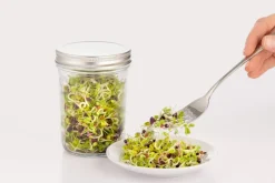 Groddburk - Kilner