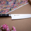 Gyoto 21cm - Pro House