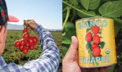 Hela skalade tomater, 794 g - Bianco DiNapoli