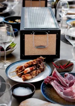 Japansk kolgrill, Professional - Konro