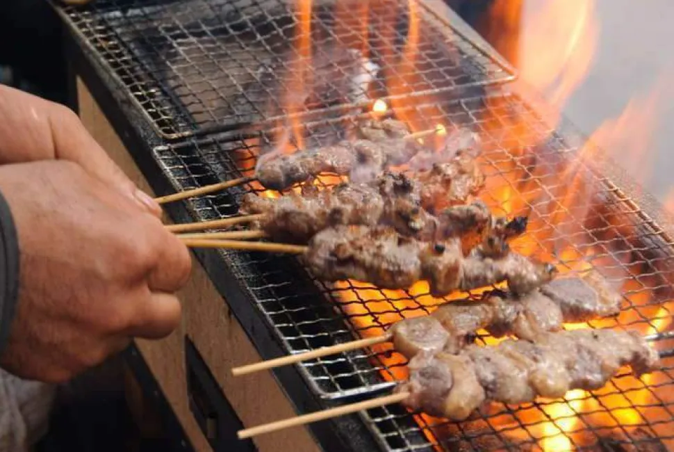 Japansk kolgrill, Professional - Konro