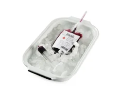 Klämmis, 100-pack - 100% Chef
