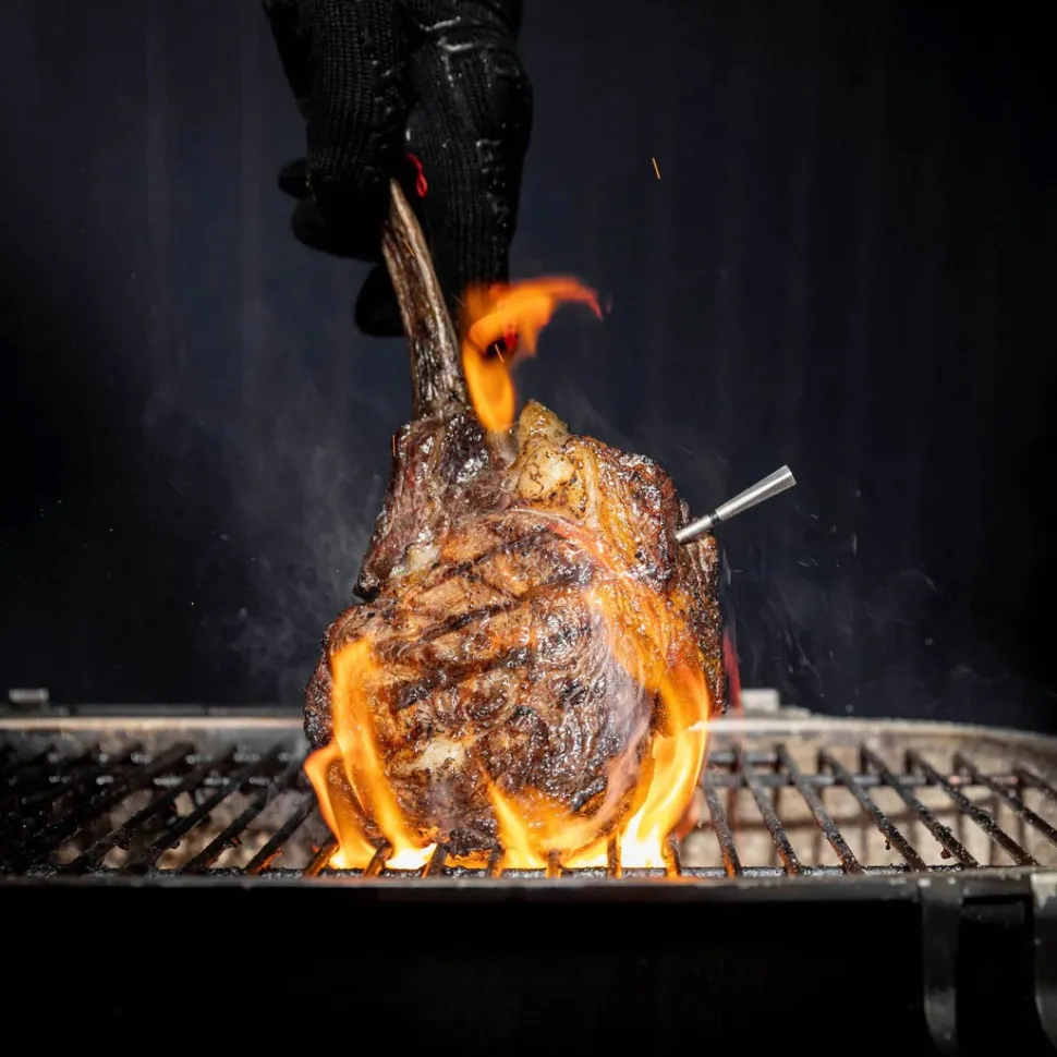 Meater PRO - Trådlös grilltermometer med repeater, Meater 2 +
