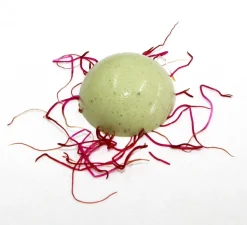 Modern Gelling Agents, ingrediens-kit - The Kitchen Lab