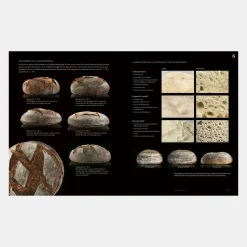 Modernist Bread At Home