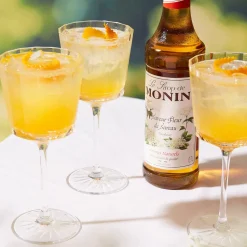 Monin Elderflower Syrup 70 cl