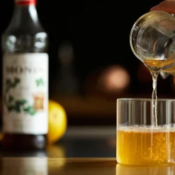 Monin Irish Syrup 70 cl