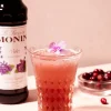 Monin Violet Syrup 70 cl