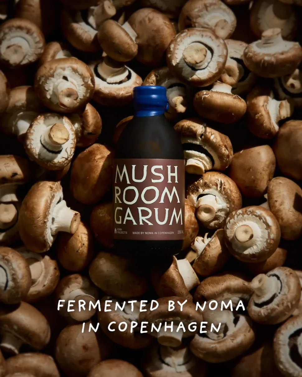 Mushroom Garum, 250 ml - Noma Projects
