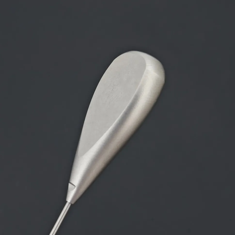 Noyau Cake Tester - Gestura