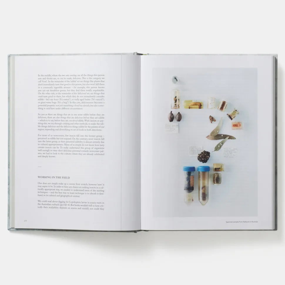 On Eating Insects - Essays, Stories and Recipes