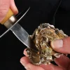Ostronkniv med skydd, trähandtag - Déglon