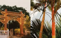 Penang: Recipes and wandering