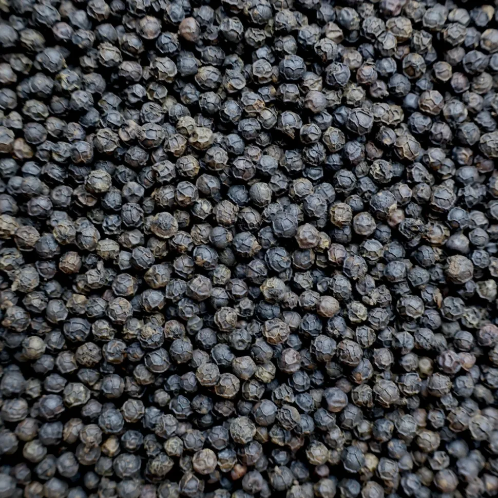 Peppar, Svart Kampot, 40 g - The Pepper Quest