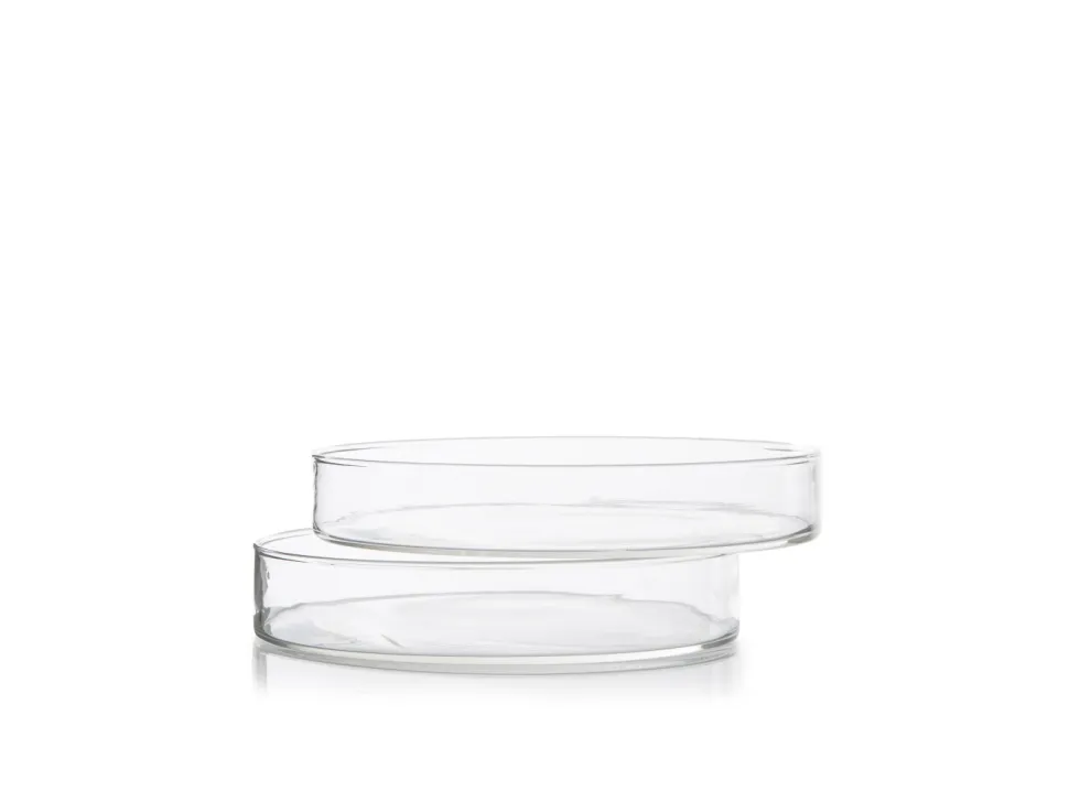 Petriskålar, 10 cm, 8-pack - 100% Chef