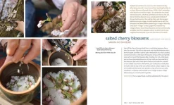 Preserving the Japanese Way - Nancy Singleton Hachisu