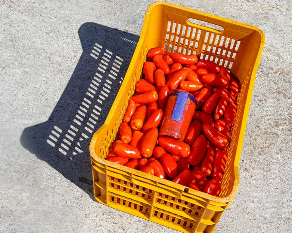 San Marzano-tomater DOP, 420g - Casa Marrazzo