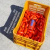 San Marzano-tomater DOP, 2560g - Casa Marrazzo
