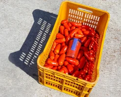 San Marzano-tomater DOP, 2560g - Casa Marrazzo