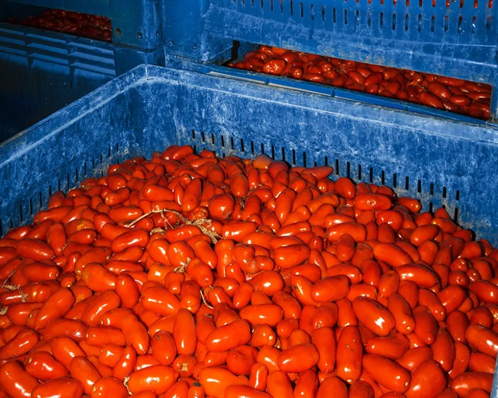 San Marzano-tomater DOP, 2560g - Casa Marrazzo