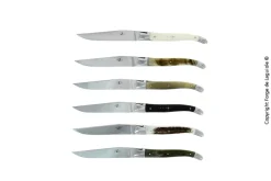 Sex knivar, Handtag av olika Djurmaterial, blank, Tradition - Forge de Laguiole