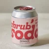 Shrub Soda Rhubarb, Ginger & Mint 250ml - Stockholms Bränneri
