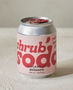 Shrub Soda Rhubarb, Ginger & Mint 250ml - Stockholms Bränneri