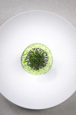 Silikonform, Coral Tuille Mold - Moldbrothers