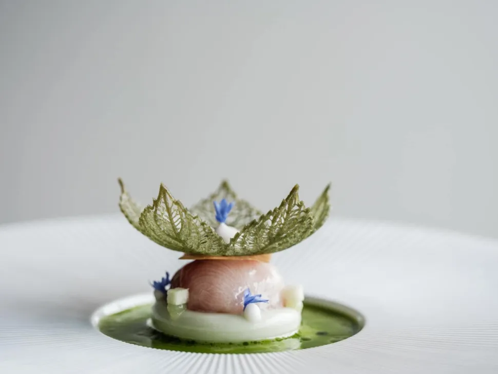 Silikonform, Corola Tuille Mold - Moldbrothers